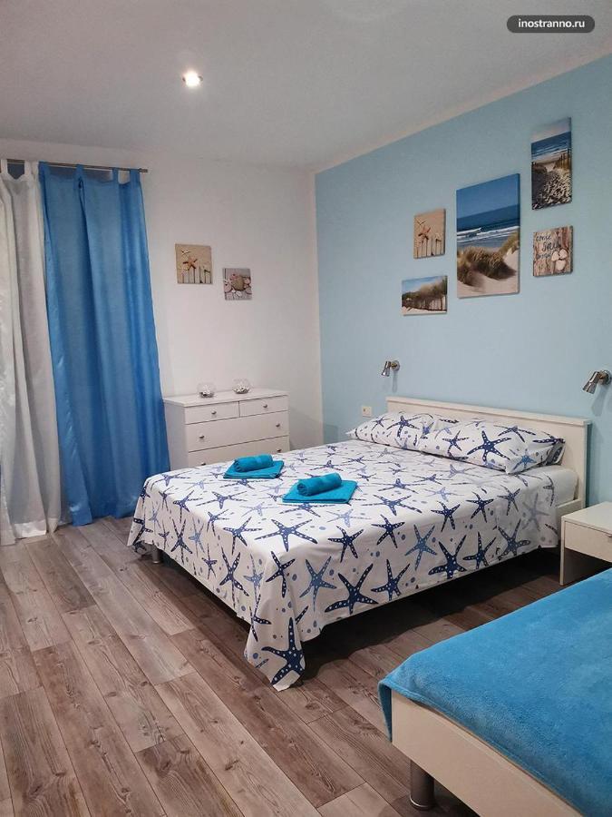 Apartment Anchor&budva *